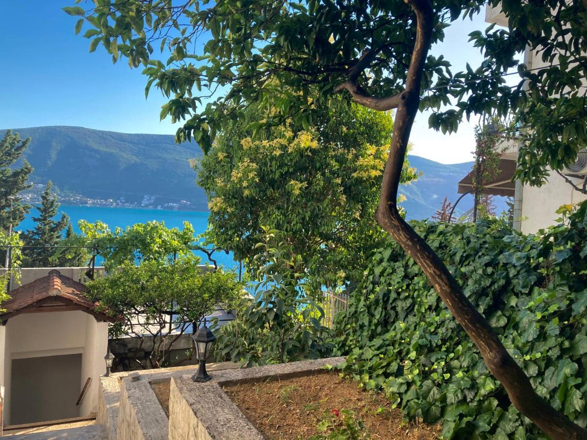 Apartmani Ilic Χέρτσεγκ Νόβι Εξωτερικό φωτογραφία
